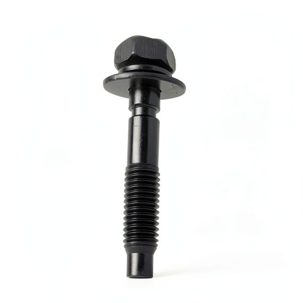 Stainless Steel Air Cleaner Bolts CartoVin-4